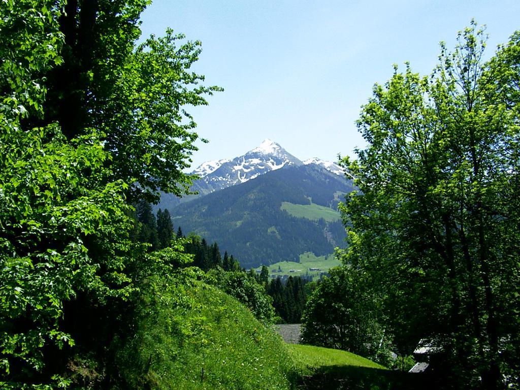 Ferienwohnungen Unterfeld Alpbach Exterior photo